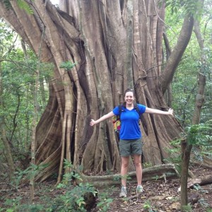 Banyan Tree in Costa Rica